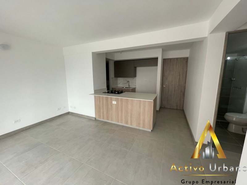 foto_104782_901271444_8274251207_ss