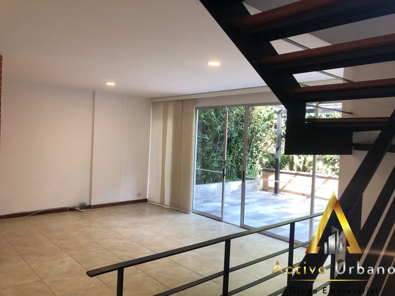 foto_104782_901271444_8321914163_ss