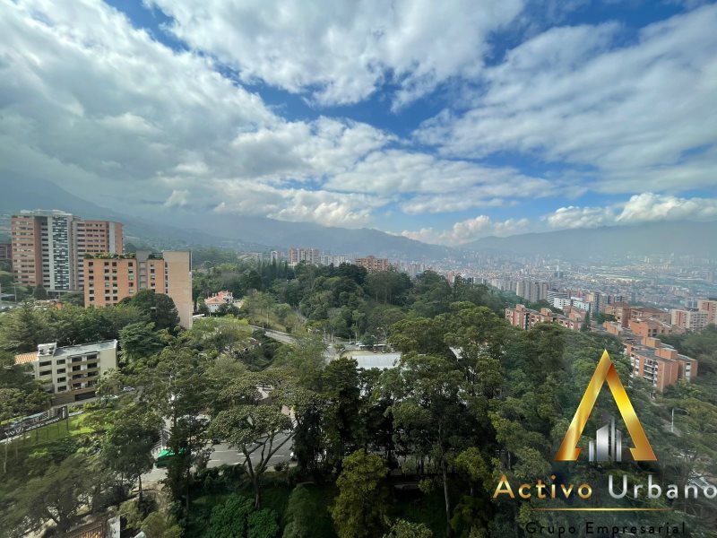 foto_104782_901271444_8328640075_ss