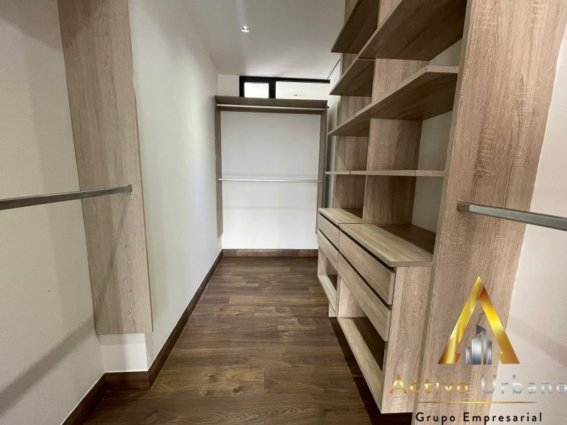 foto_104782_901271444_8379598884_ss