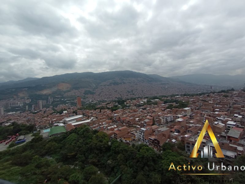 foto_104782_901271444_9235510944_ss