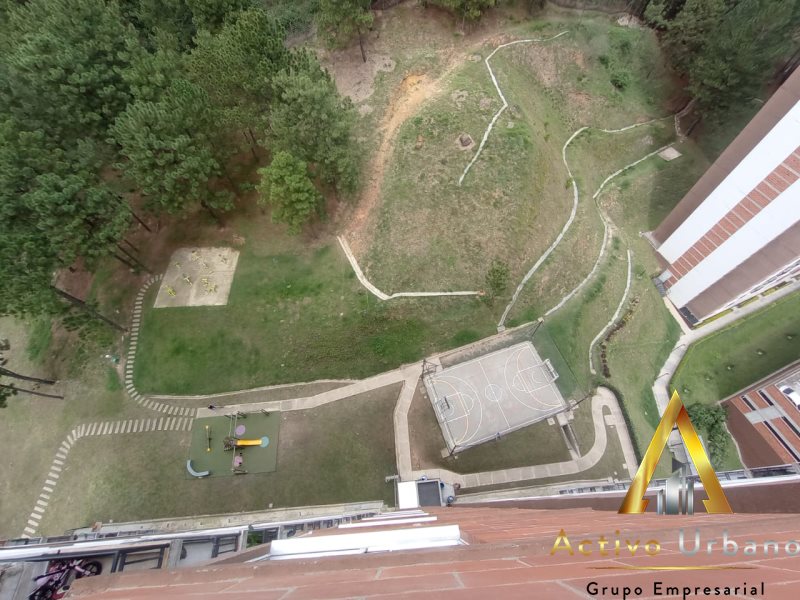 foto_104782_901271444_9264914894_ss