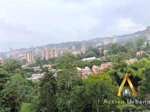 foto_104782_901271444_9528856536_ss