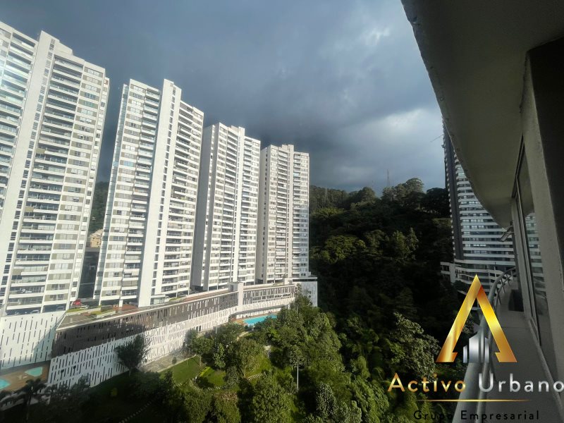 foto_104782_901271444_9889199195_ss