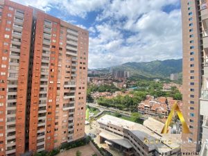 foto_104782_901271444_9940880221_ss