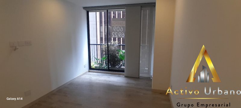 foto_32721_901271444_2956543186_ss