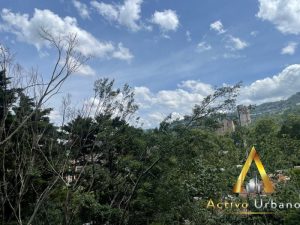 foto_104586_901271444_6703745433_ss