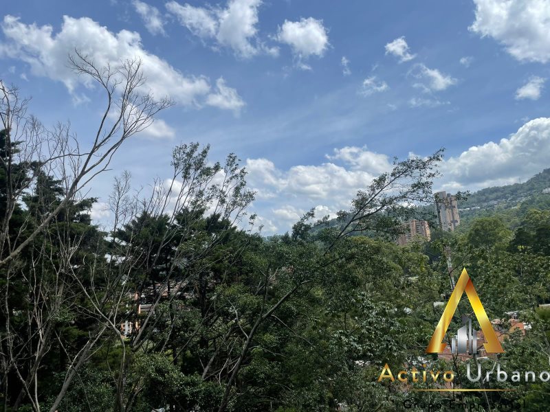 foto_104586_901271444_6703745433_ss