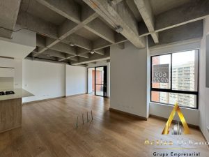 foto_104586_901271444_7468176714_ss