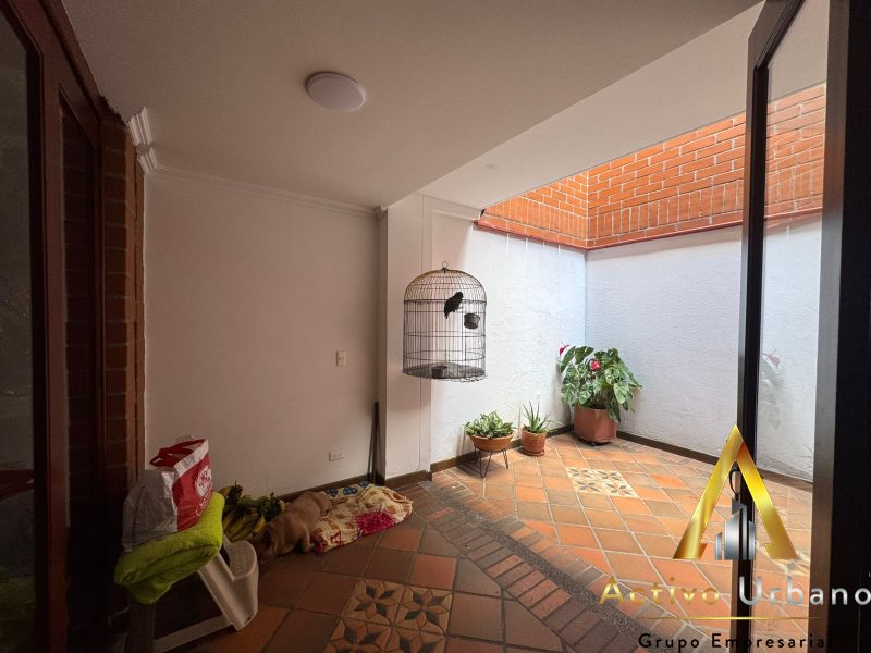 foto_104586_901271444_9055723332_ss