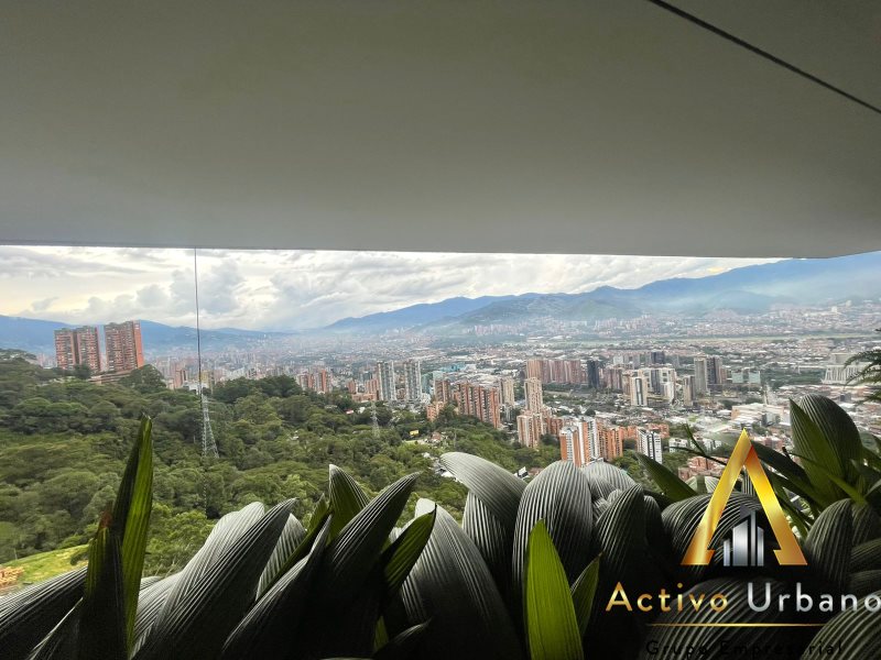 foto_104782_901271444_0445717923_ss