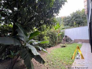 foto_104782_901271444_0683750523_ss