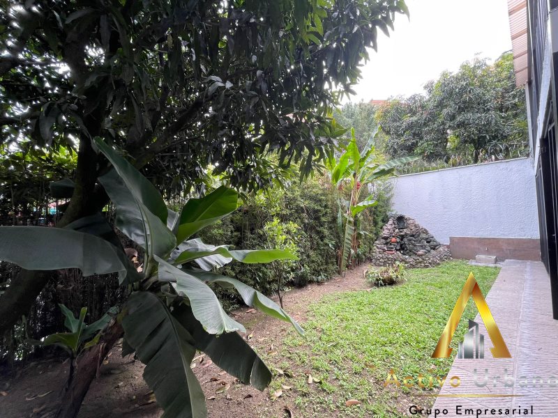 foto_104782_901271444_0683750523_ss