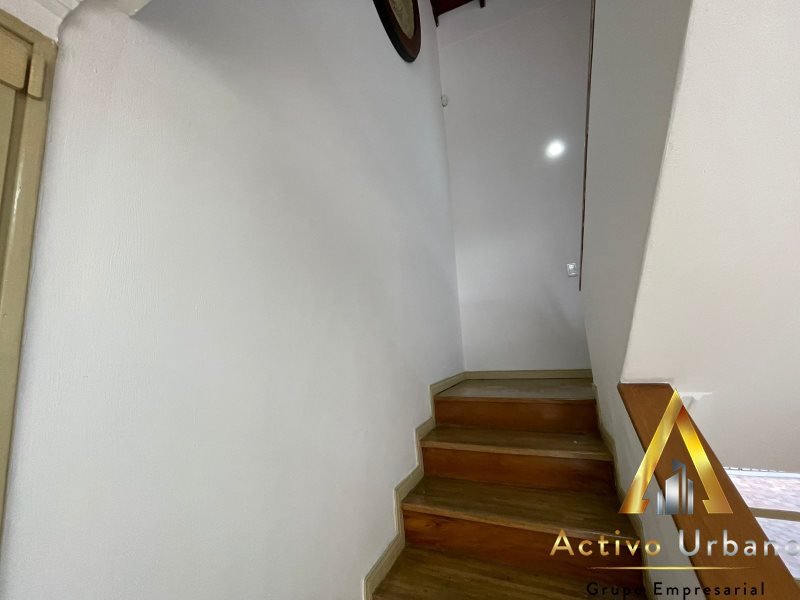 foto_104782_901271444_0691761215_ss