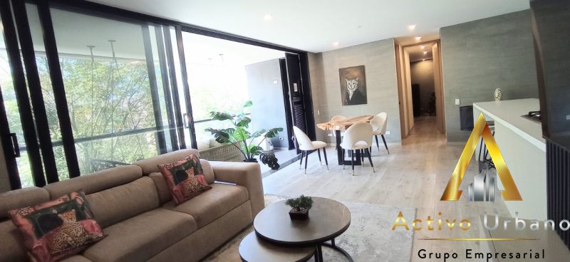 foto_104782_901271444_0803497787_ss