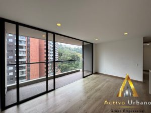 foto_104782_901271444_1265157392_ss