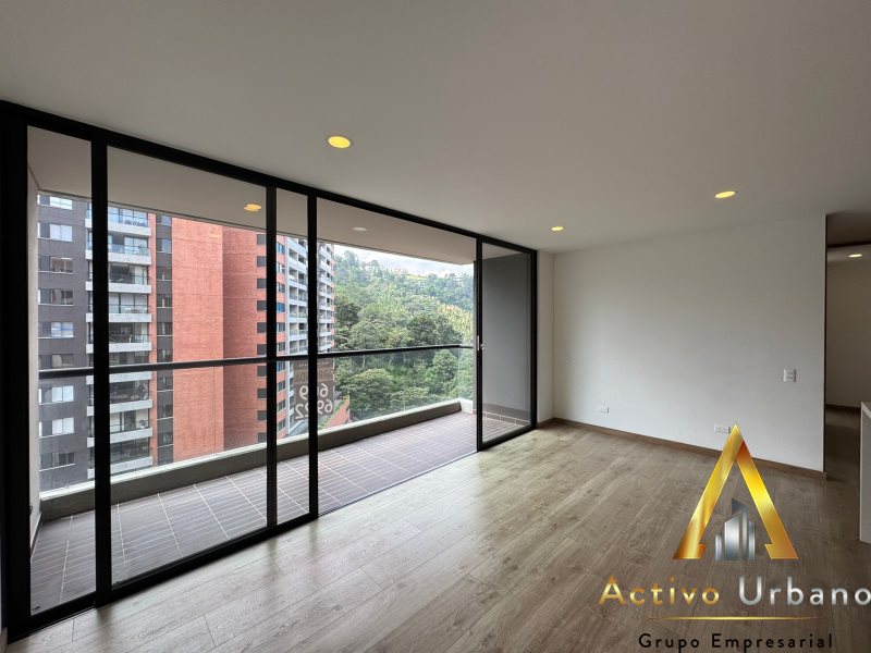 foto_104782_901271444_1265157392_ss