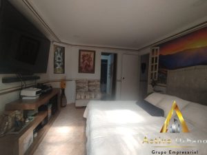 foto_104782_901271444_1356493440_ss