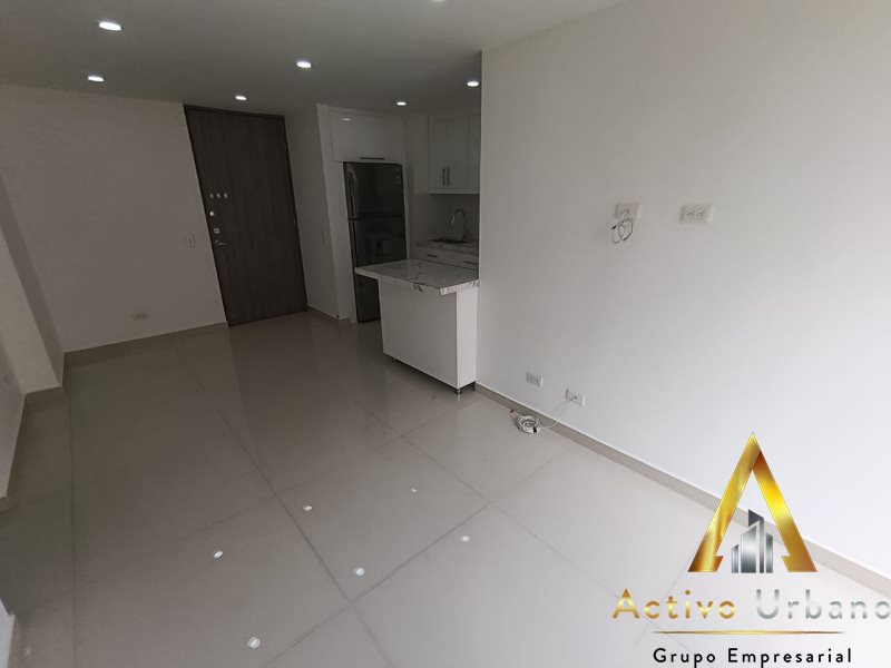 foto_104782_901271444_1416291264_ss