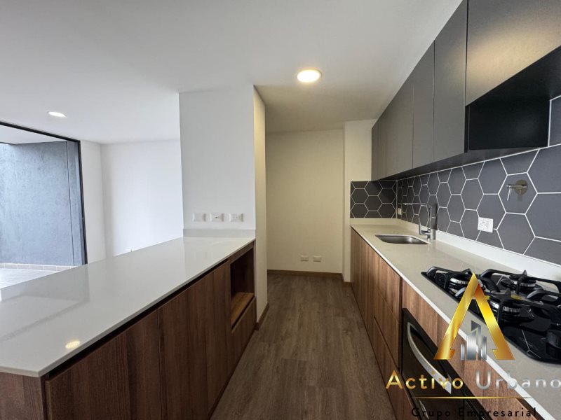 foto_104782_901271444_1449679950_ss