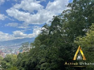 foto_104782_901271444_1835787354_ss