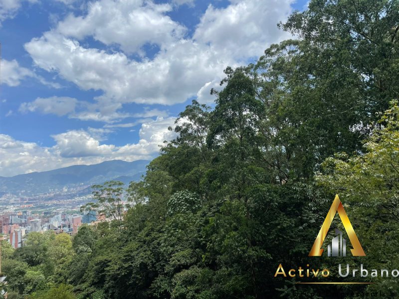 foto_104782_901271444_1835787354_ss