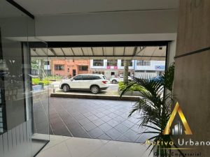 foto_104782_901271444_1848633941_ss