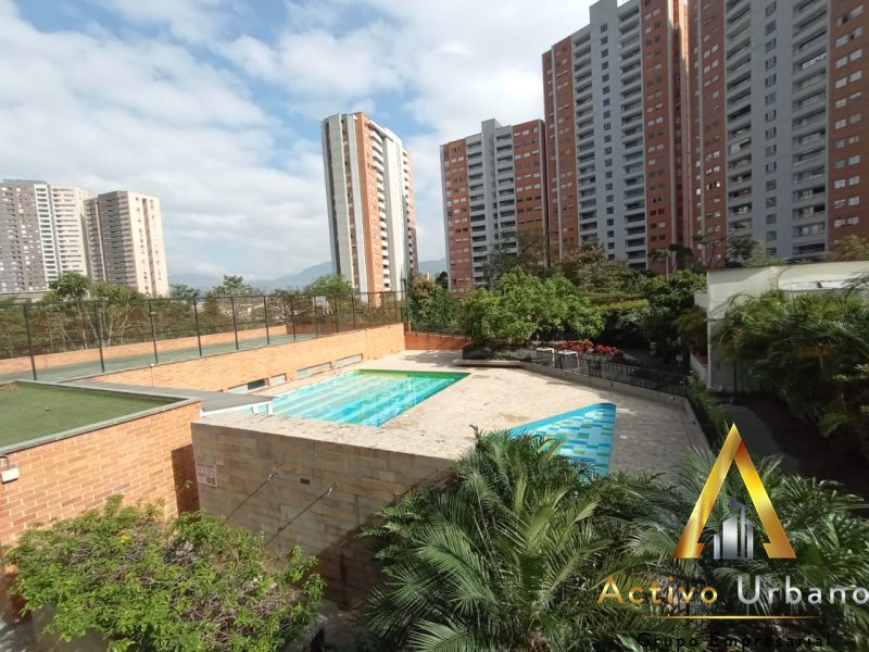 foto_104782_901271444_1978261544_ss