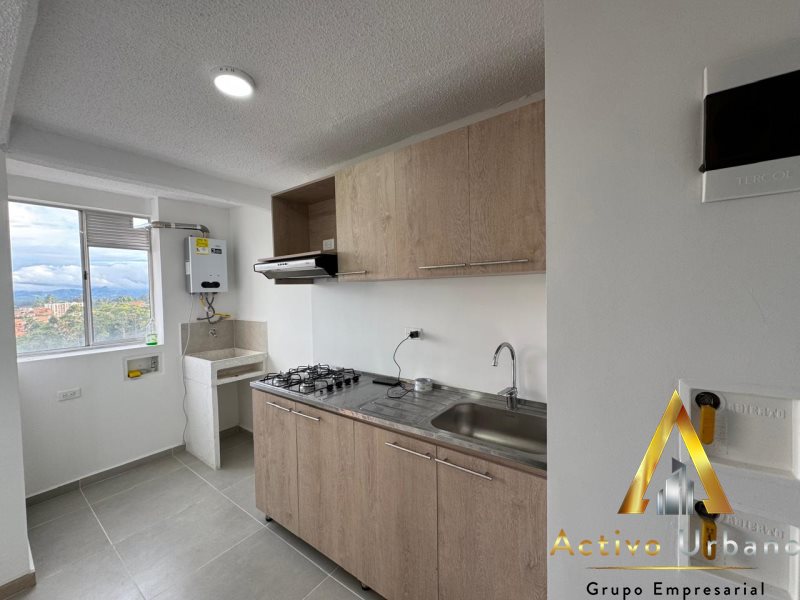 foto_104782_901271444_1985381421_ss