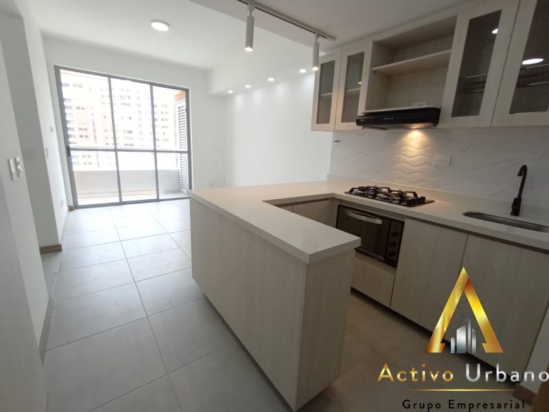 foto_104782_901271444_2052396209_ss