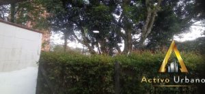 foto_104782_901271444_2111894640_ss