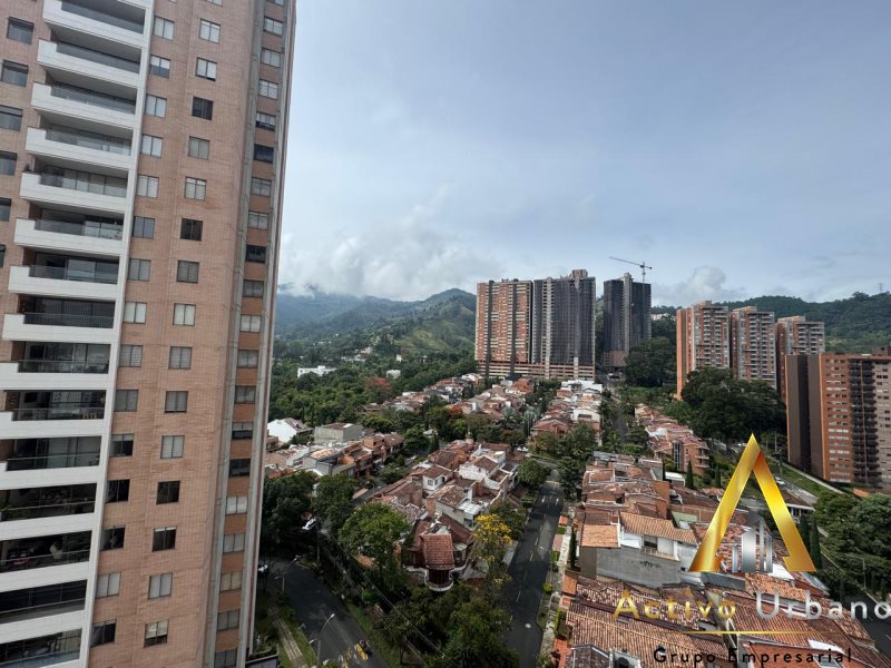 foto_104782_901271444_2196048495_ss