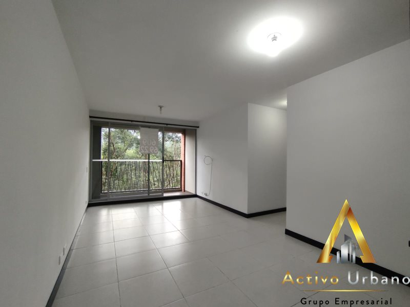 foto_104782_901271444_2227164162_ss