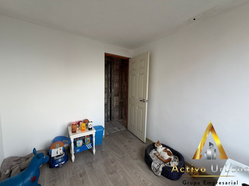 foto_104782_901271444_2248992030_ss