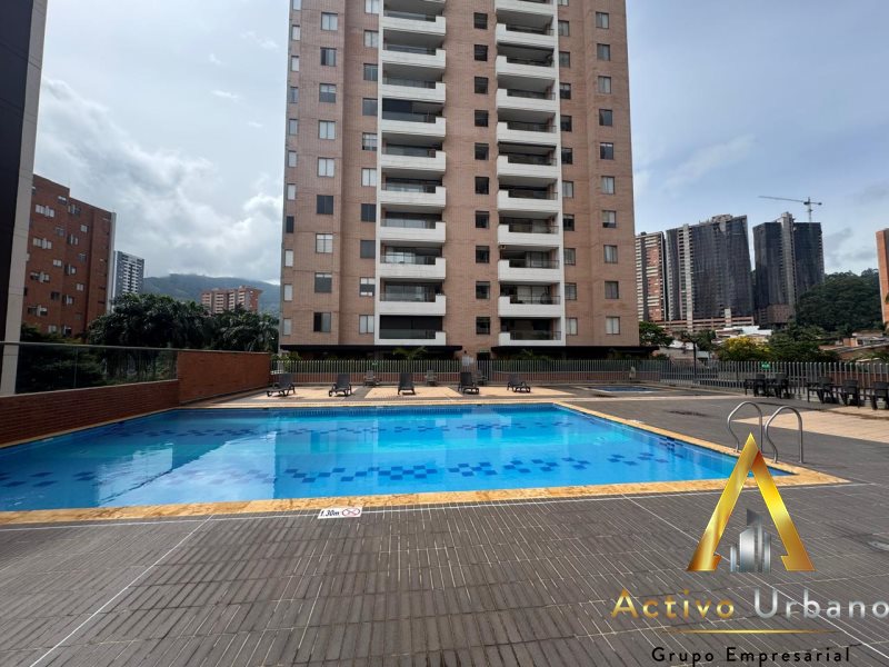 foto_104782_901271444_2303971861_ss