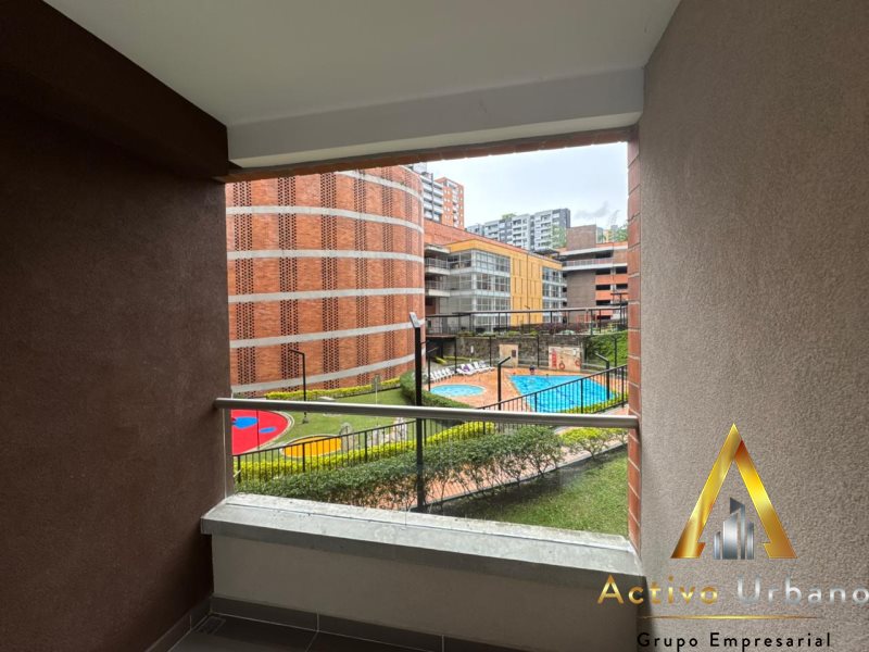 foto_104782_901271444_2504340055_ss