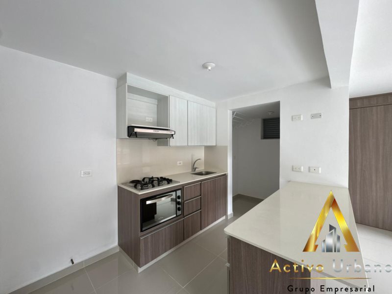 foto_104782_901271444_2520375692_ss