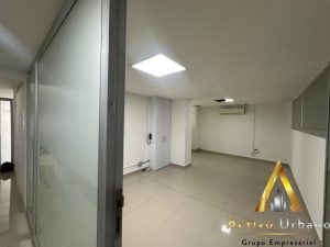 foto_104782_901271444_2598059455_ss