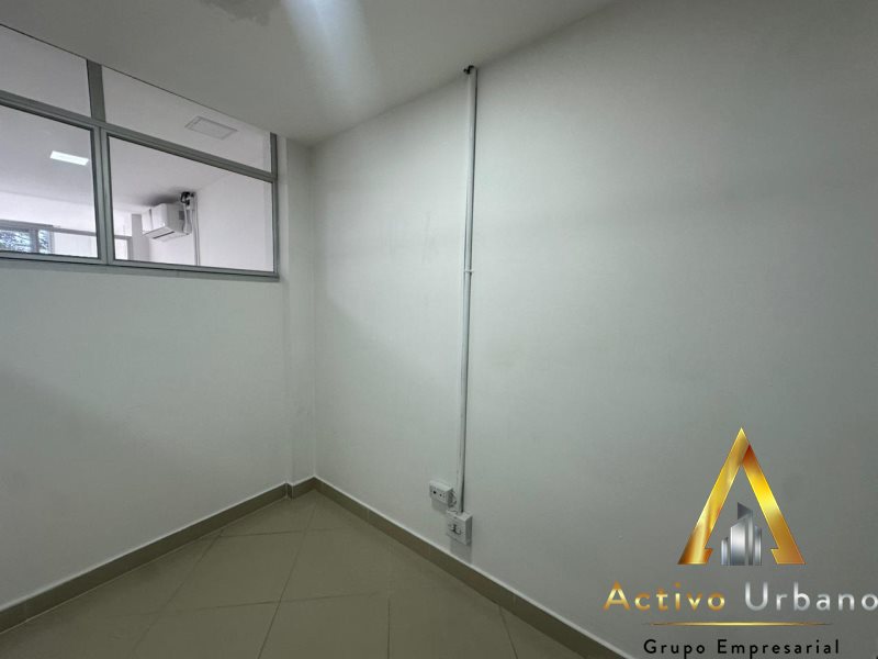 foto_104782_901271444_2614872944_ss