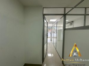 foto_104782_901271444_2628760211_ss