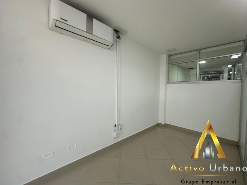 foto_104782_901271444_2629739344_ss