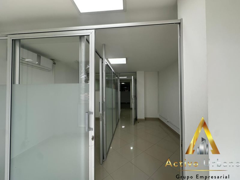 foto_104782_901271444_2644442001_ss