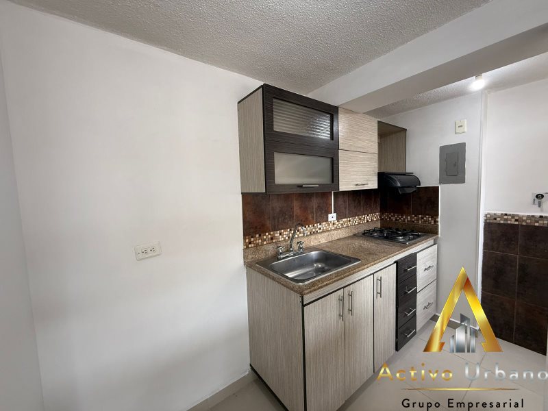 foto_104782_901271444_2837941242_ss