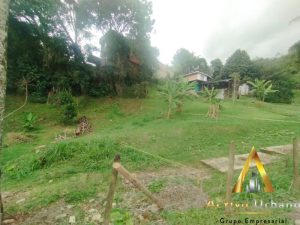 foto_104782_901271444_2846099338_ss