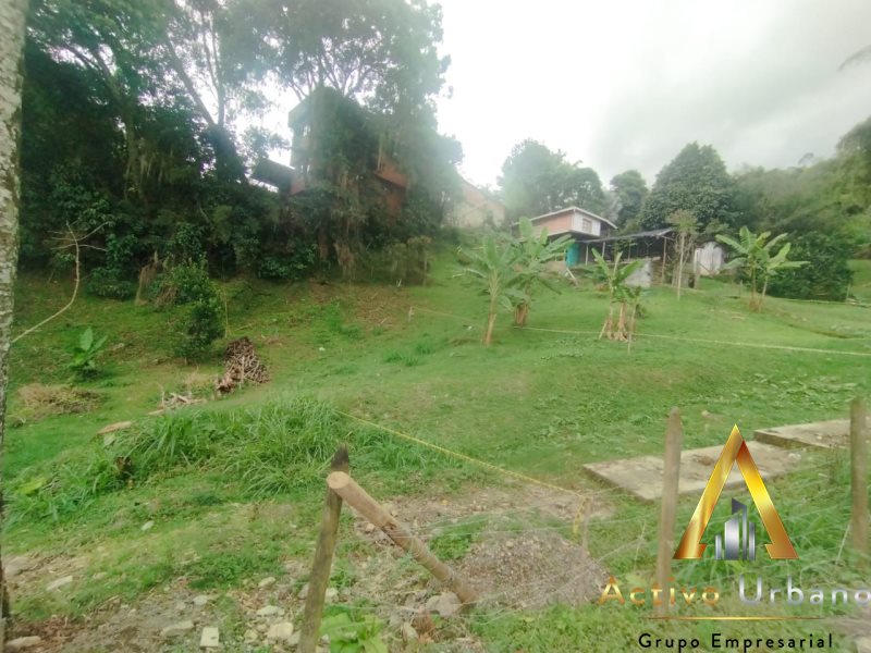 foto_104782_901271444_2846099338_ss