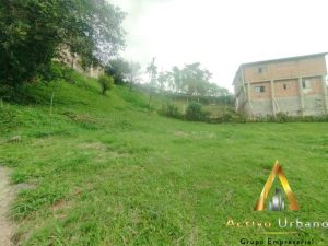 foto_104782_901271444_2846128906_ss