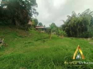 foto_104782_901271444_2870868591_ss