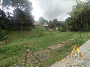 foto_104782_901271444_2871860899_ss