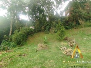 foto_104782_901271444_2873404593_ss