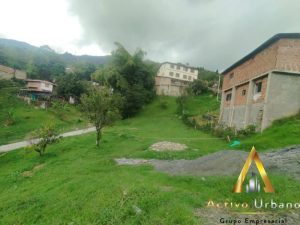 foto_104782_901271444_2884708963_ss